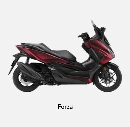 Forza