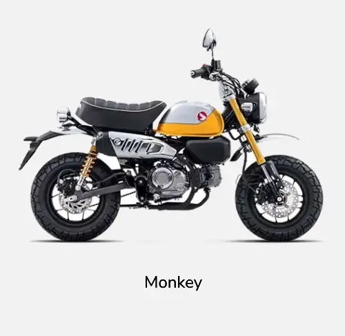 Monkey
