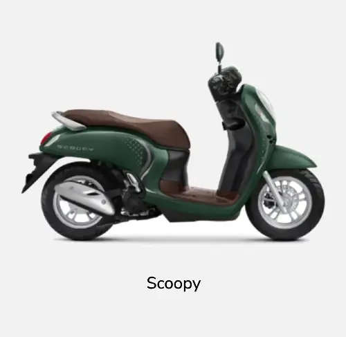 Scoopy